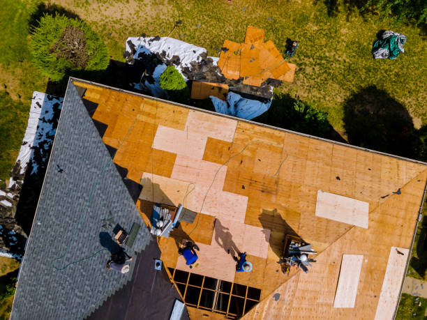 Best Gutter Installation and Roofing  in Mathews, LA